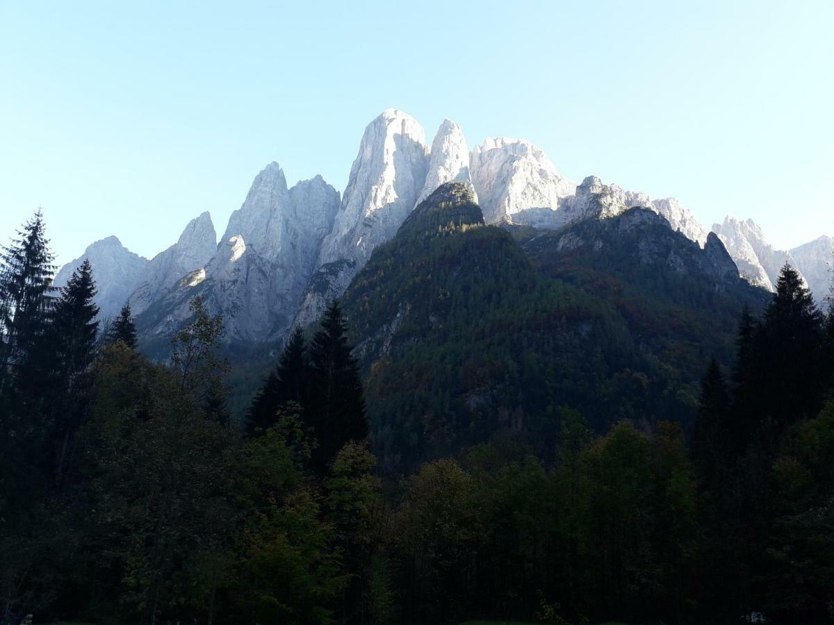 B&B Dolomia Sagron Mis Eksteriør billede