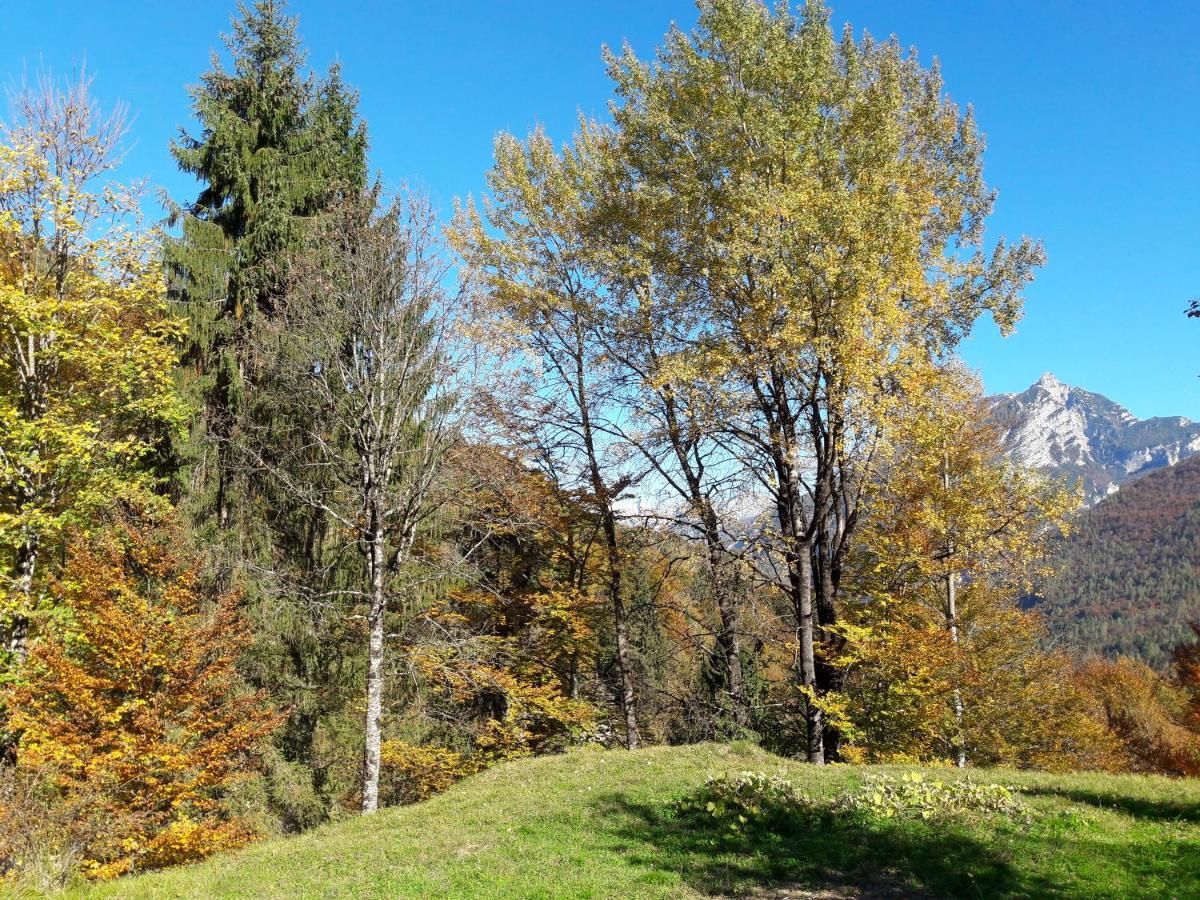 B&B Dolomia Sagron Mis Eksteriør billede